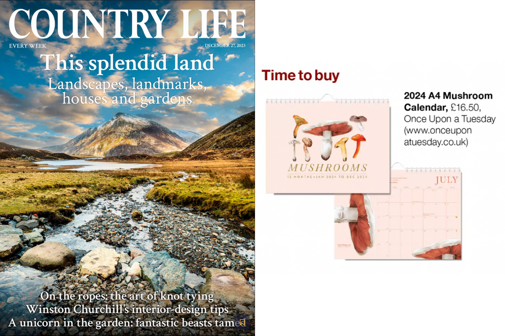 Country Life | Print Feature