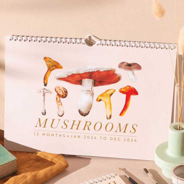 2024 calendar and notebook set. Inspired by nature. Mushrooms. 100% recycled and made in the UK